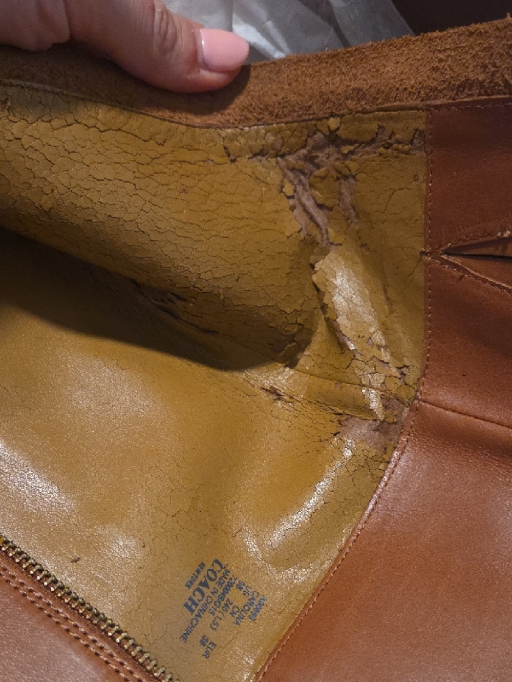 Women's Coach Tall Leather Riding Boots with Gold Buckle - Tan, Size 9 - Picture 6 of 7
